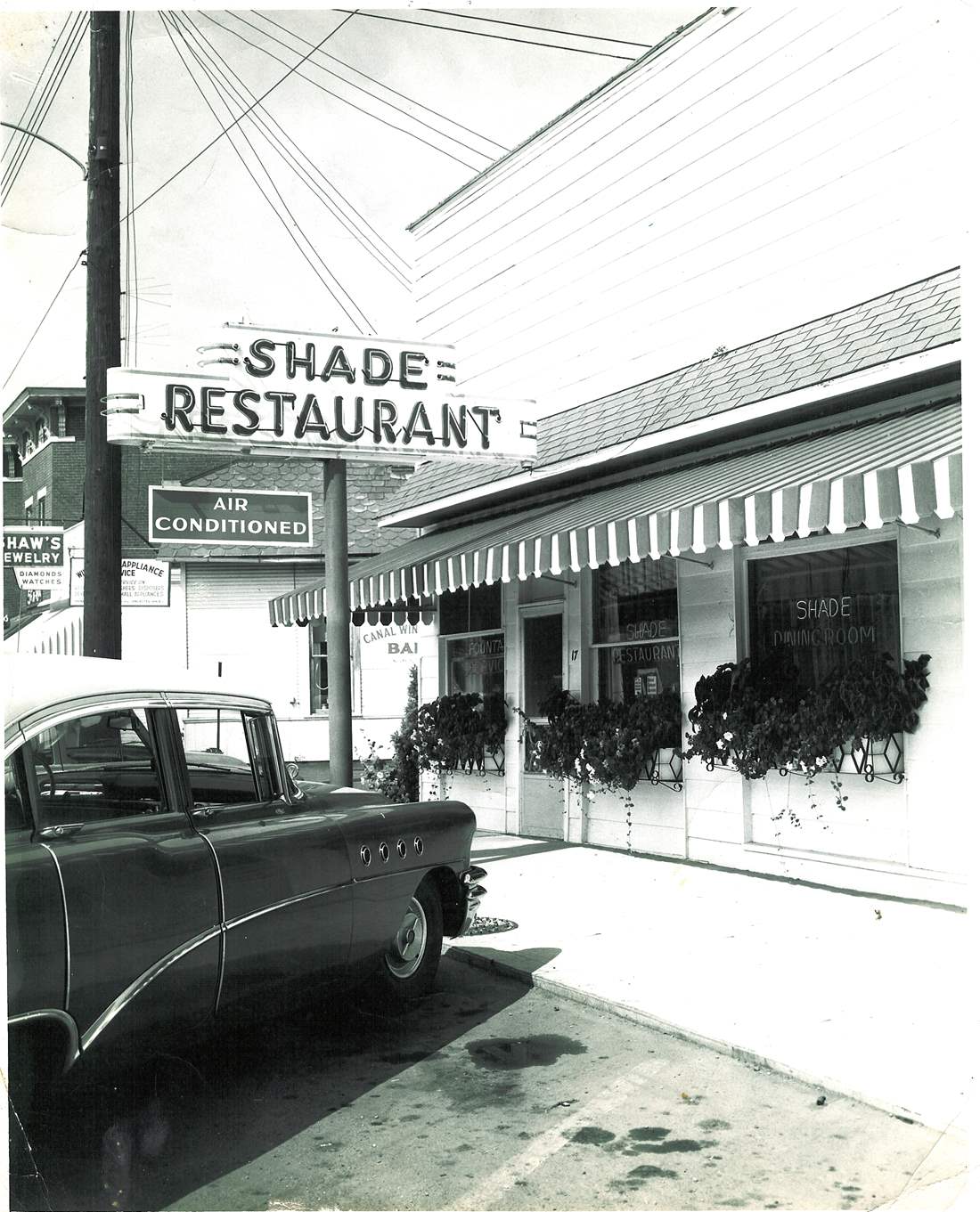 Picture of Shade on the Canal